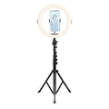 AgfaPhoto ARL11XL 11 Floor-Standing Ring Light