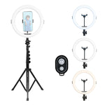 ARL11XL RingLight 11 inch Floor Standing