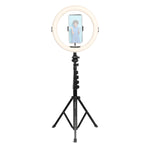 ARL11XL RingLight 11 inch Floor Standing