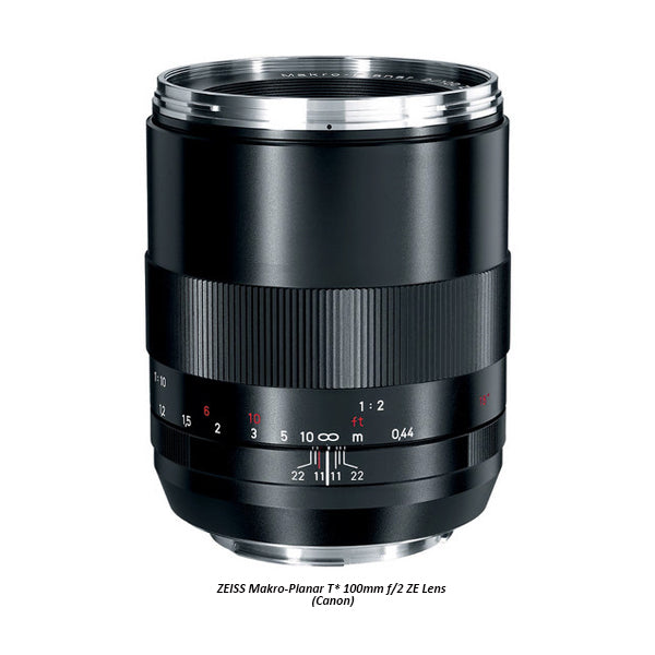 ZEISS Makro-Planar T* 100mm F2 ZE Lens (Canon EF)
