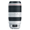 Canon EF 100-400mm F4.5-5.6L IS II USM Lens