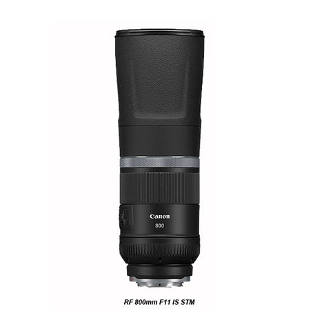 Canon RF 800mm F11 IS STM Lens