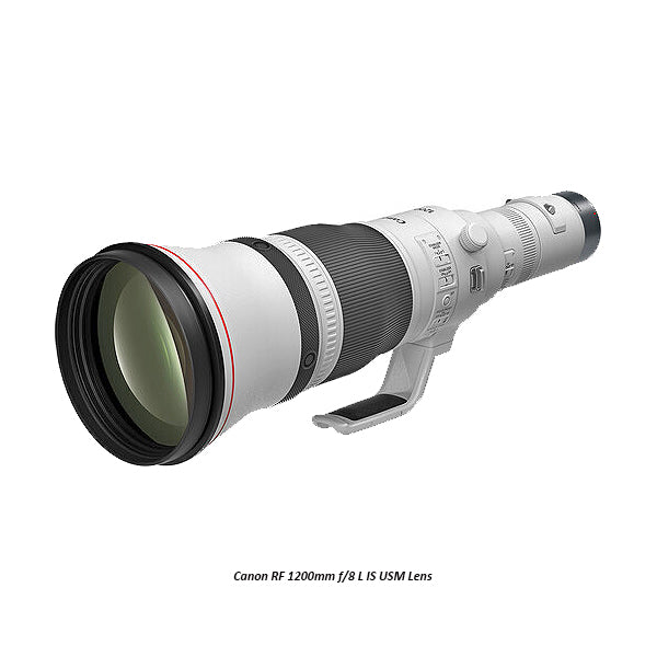 Canon RF 1200mm F8 L IS USM Lens