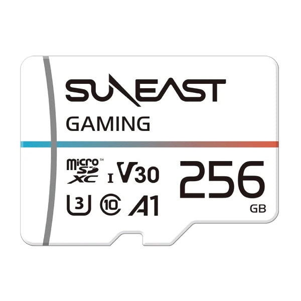SUNEAST microSD UHS-I V10 256GB