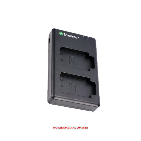 NP-BX1 Dual Charger