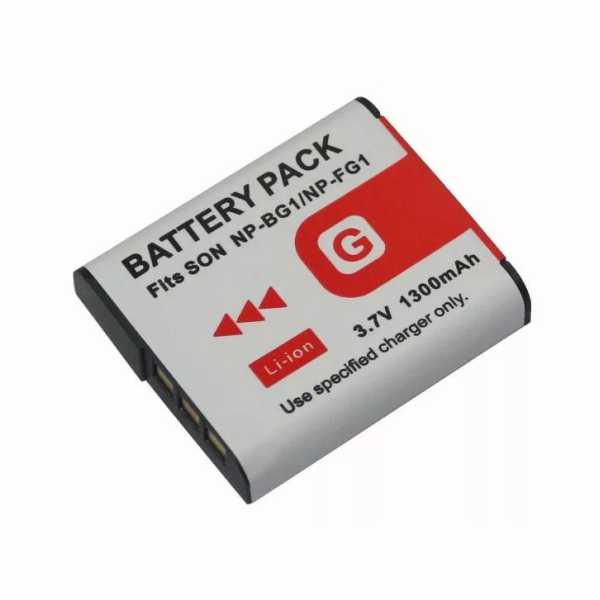Pisen NP-FG1 Battery