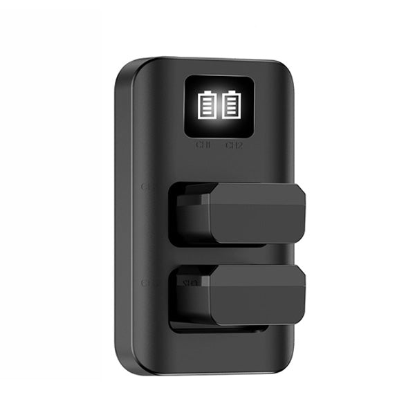 Pisen NP-FW50 Charger