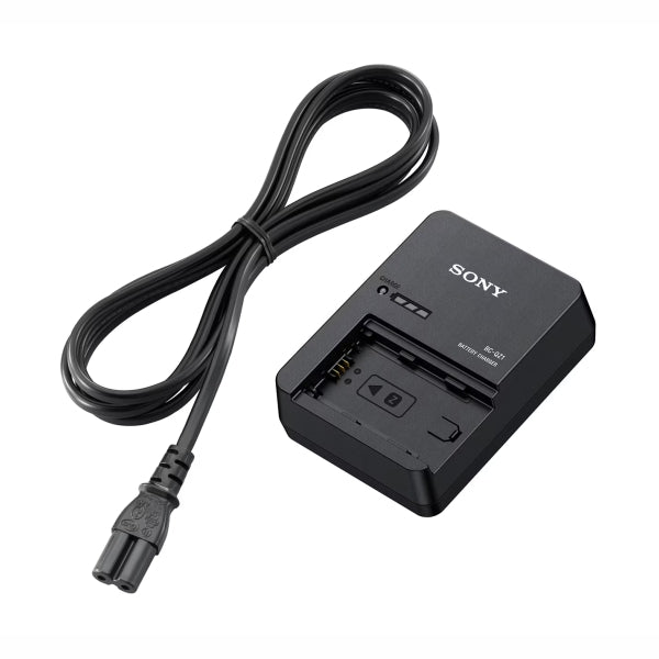 RUI DMW-BLF19 / FZ100 Charger