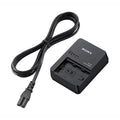 RUIBO NP FZ100 Charger