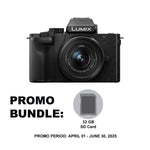 Panasonic Lumix G100 Mirrorless Camera with 12-32mm Lens