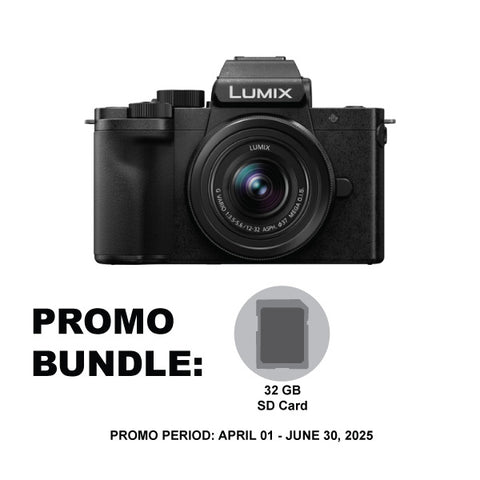 Panasonic Lumix G100 Mirrorless Camera with 12-32mm Lens