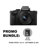 Panasonic Lumix G100 Mirrorless Camera with 12-32mm Lens