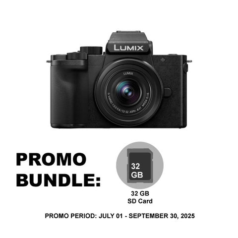 Panasonic Lumix G100 Mirrorless Camera with 12-32mm Lens