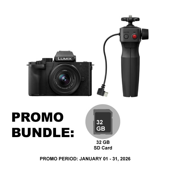 Panasonic Lumix G100 Mirrorless Camera with 12-32mm Lens + Grip