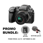 Panasonic Lumix G7 Mirrorless Camera with 14-42mm Lens Silver