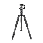 Sirui T-024SK Carbon Fiber Tripod with B-00 Ball Head