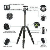 Sirui T-25SK T-0S Series Travel Tripod with B-00 Ball Head