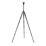 T1005 + E10 Travel Tripod + E10 Head