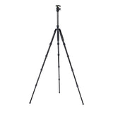 T1005 + E10 Travel Tripod + E10 Head