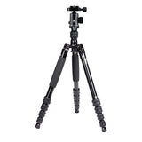 T1005 + K10 II Travel Tripod + K10 II Head