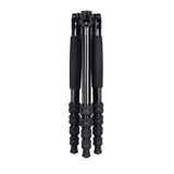 T1005 + K10 II Travel Tripod + K10 II Head