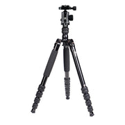 SIRUI T-1005 Tripod + K-10 II Ball Head