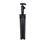 AT-125 Tripod + E10 Head