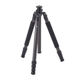 Sirui R-2204 Carbon Fiber Tripod Legs