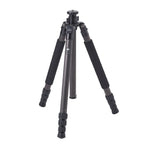 Sirui R2204 Carbon Fiber Tripod