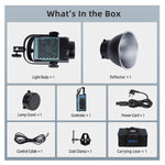 C300 LED Monolight