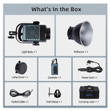 C300 LED Monolight