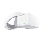 DJI Goggles