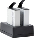 BATTERY KIT for BRAVE 4PRO V50X incl Charger + 2 Batteries