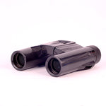 Kenko Ultra View 10x25 WP Porro Binocular