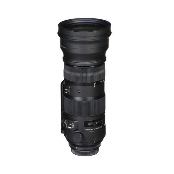 Sigma Nikon 150-600mm DG OS Sports Lens — alternate view
