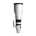 Sigma 300-600mm F4 DG OS Lens Sony E