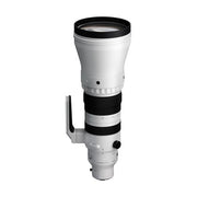 Sigma 300-600mm F4 DG OS Lens Sony E